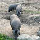 김동선 농장 이미지