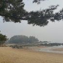 태안렌터카 이미지