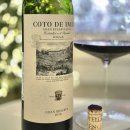 꼬또 데 이마스 그랑 레세르바 (Coto de Imaz Gran Reserva) 2018 와인 리뷰