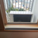 수원-0799 이미지