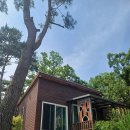 태학산자연휴양림 | [6月 숲나들e] 충남 천안 태학산자연휴양림 괭이밥 숙박 후기