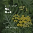 평화꽃집