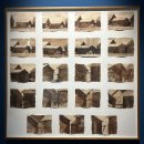 자연풍경 파스텔아트 | 9월 20일 종료) 앨리스 달튼 브라운 회고전 관람 후기 아트샵 굿즈 더현대서울 ALT.1