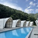 태봉축산 | 가평글램핑 더 라이온 수영장, 바베큐 인원추가 솔직후기