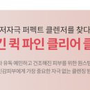 인투더스킨 이미지