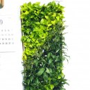 범계동주민센터 이미지