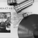 에코라이팅