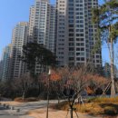 연세짱소아청소년과의원 이미지