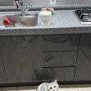 배부른 고양이 | 토빈즈고등어~! 뚱냥이 고양이습식사료 후기, 고양이미니밥으로 음수량 고민 해결!