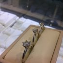 반지로-2 이미지