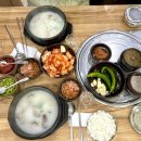 가마솥찹쌀순대 | 마포구청역 마포 사는 친구가 데려간 24시가마솥순대 현지인 추천 후기 깔끔한 해장 맛집