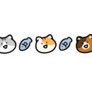 pit a pet (핏어펫) 이미지