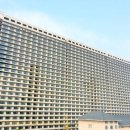 남다른돼지