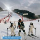 박정환 | 비발디파크어린이스키강습 비발디파크스키 렌탈샵 아지트 강추후기