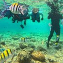 오션트리 호스텔 | 세부 여행 경비 | 4인 가족 5박7일 실제 비용 + 페소 현금 얼마 필요할까?