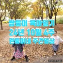 산철쭉어린이공원 이미지
