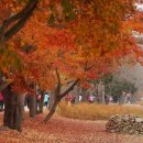 ☆보고 싶은 스승님 찾아 추석 안부 전하세요!☆ 이미지