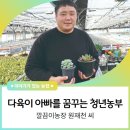 명성다육 이미지