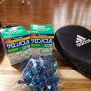 불독복싱 이미지