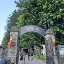 500020 | [루마니아 자유여행(4)] 브라쇼브 구시가지, 흑색교회, 유대교 회당, 칸타쿠지노성