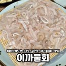 이까물회