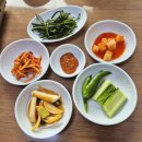 안성 흑염소 보양식 맛집 양촌흑염소 잡내없는 전골 맛집