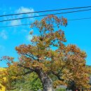 창원향교 전적류 이미지