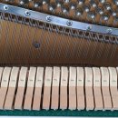 하단동121 이미지