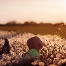 경희대 멘토 태권도 이미지