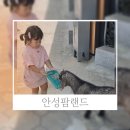 쾌청농장 | 안성팜랜드 50% 할인받고 다녀온 후기 호밀밭축제 + 신규 놀이기구 총정리