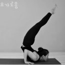 요가로움 이미지