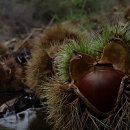 토실토실 2농장 이미지