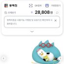 올리브영 부산당감점 이미지