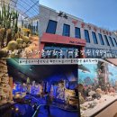 해양관 카페 | 포천 아이와 실내 가볼만한곳 '예술정원 1999 자연예술테마파크' 카페 및 후기