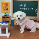 평생교육원 이미지