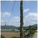 태기산농장 이미지