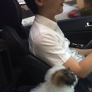 남현우동물병원 | [꼬똥] 2차 예방접종 후 대박 사고 몽몽