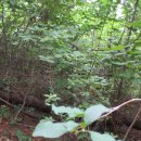 숲속농장 이미지