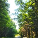 WG스포츠파크고성 | [경남 마산 WG스포츠파크 고성]구, 쥬라기 골프에서 필드 골프를 위해서 맹 연습 하고 왔습니다!