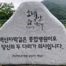 200715 ~ 18 소백산 자락길 및 단양 주변 걷기 [ 1 ] 이미지