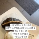꿀참나무숲 유치원 | 대흥 빵집 추천 / 소금빵 아이스크림과 얼그레이크림 소금빵 : 그레인솔트