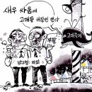 'Natizen 시사만평' '떡메' 2016. 12. 12(월) 이미지