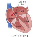 엠에스여성의원 이미지