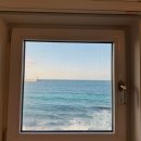 해안로2-R | 제주 혼여행 :: 전 객실 오션뷰 1인 감성 숙소 "솔트 salt" 내돈내산 후기