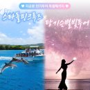 별빛호텔(별) | [🇬🇺괌여행] 괌여행 돌핀크루즈/별빛투어 내돈내산 솔직후기