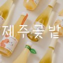 제주곶밭
