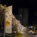 촌집돼지국밥 | 부산여행 2일차ㅣ수변최고돼지국밥-블루라인파크 산책로-톤쇼우-기장촌집짚불곰장어-빌라쥬드 아난티...