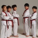 명문 태권도 이미지