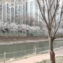 서운동(임광그대가) 이미지