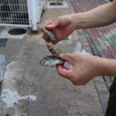 포항국수촌 이미지